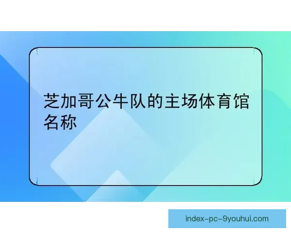 围绕公牛队缩写CHI解析芝加哥球队历史与文化魅力发展传承精神